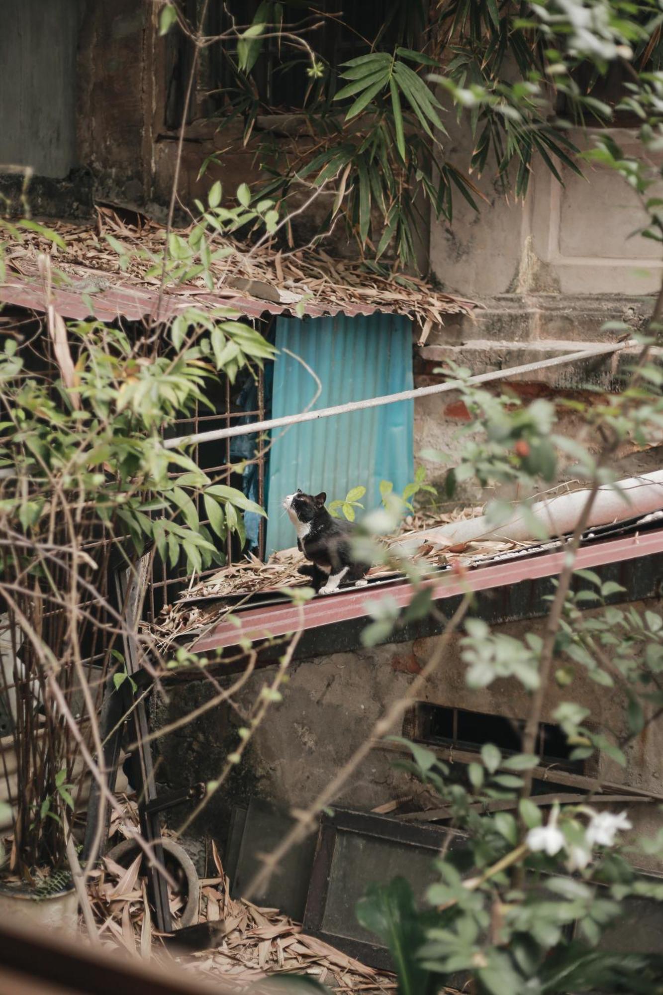 Hidden Gem Homestay 2 Hanoi Buitenkant foto