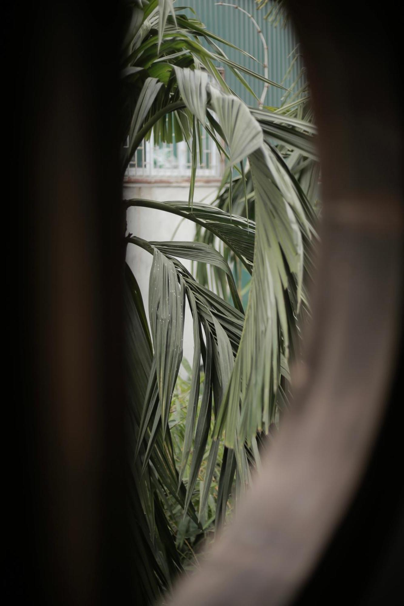 Hidden Gem Homestay 2 Hanoi Buitenkant foto